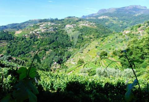 Terreno em louredo / santa marta penaguião