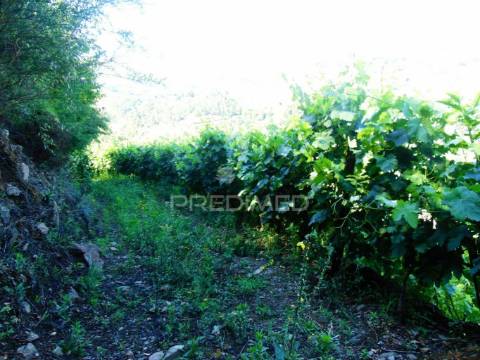 Terreno em louredo / santa marta penaguião