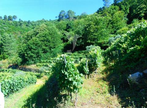 Terreno em louredo / santa marta penaguião