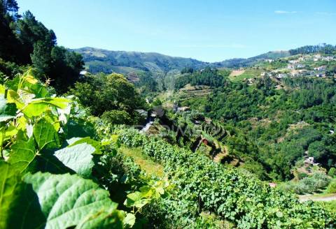 Terreno em louredo / santa marta penaguião