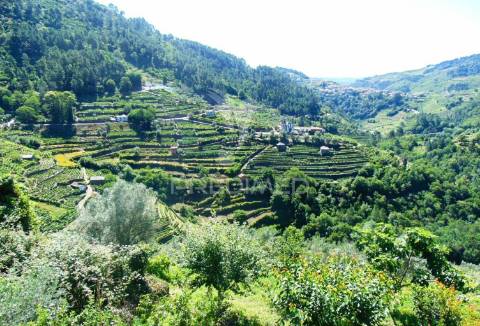 Terreno em louredo / santa marta penaguião