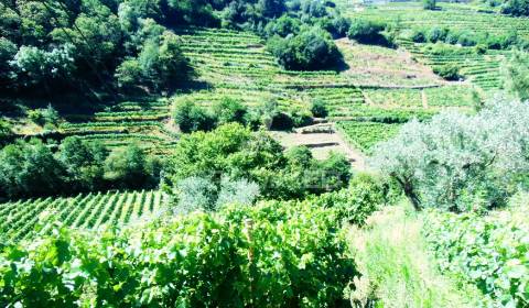 Terreno em louredo / santa marta penaguião