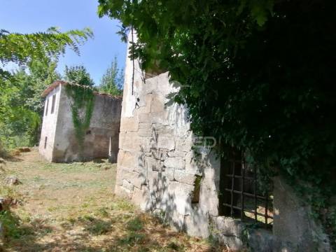 Quinta com duas casas para recuperar e vista fabulosa do rio douro