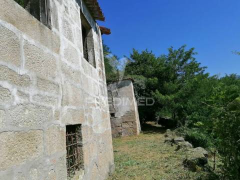 Quinta com duas casas para recuperar e vista fabulosa do rio douro