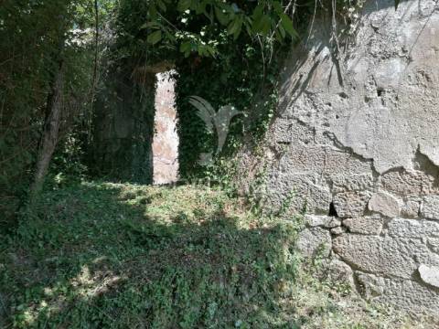 Quinta com duas casas para recuperar e vista fabulosa do rio douro