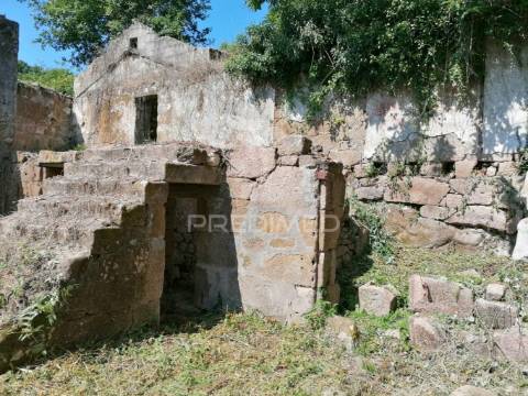 Quinta com duas casas para recuperar e vista fabulosa do rio douro