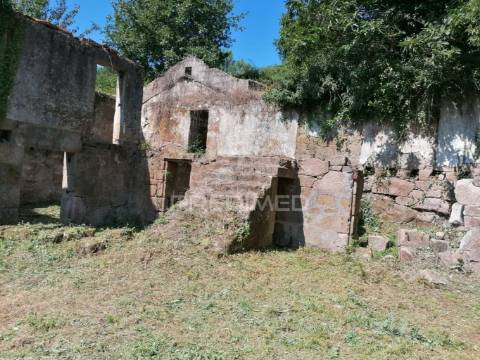 Quinta com duas casas para recuperar e vista fabulosa do rio douro
