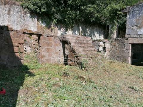 Quinta com duas casas para recuperar e vista fabulosa do rio douro