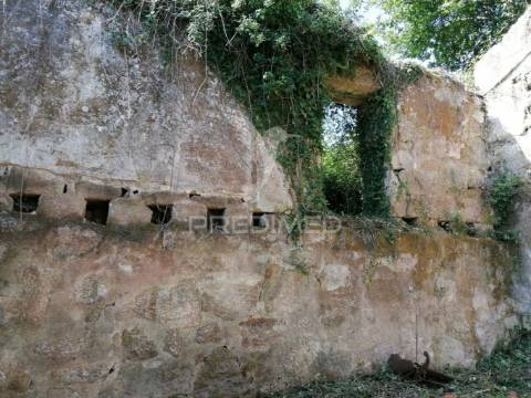 Quinta com duas casas para recuperar e vista fabulosa do rio douro