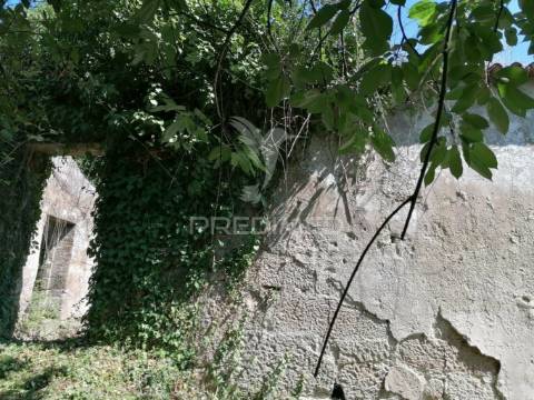 Quinta com duas casas para recuperar e vista fabulosa do rio douro