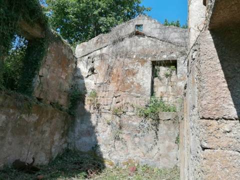 Quinta com duas casas para recuperar e vista fabulosa do rio douro