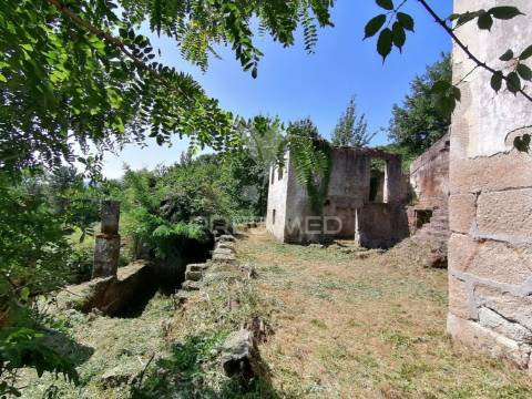 Quinta com duas casas para recuperar e vista fabulosa do rio douro