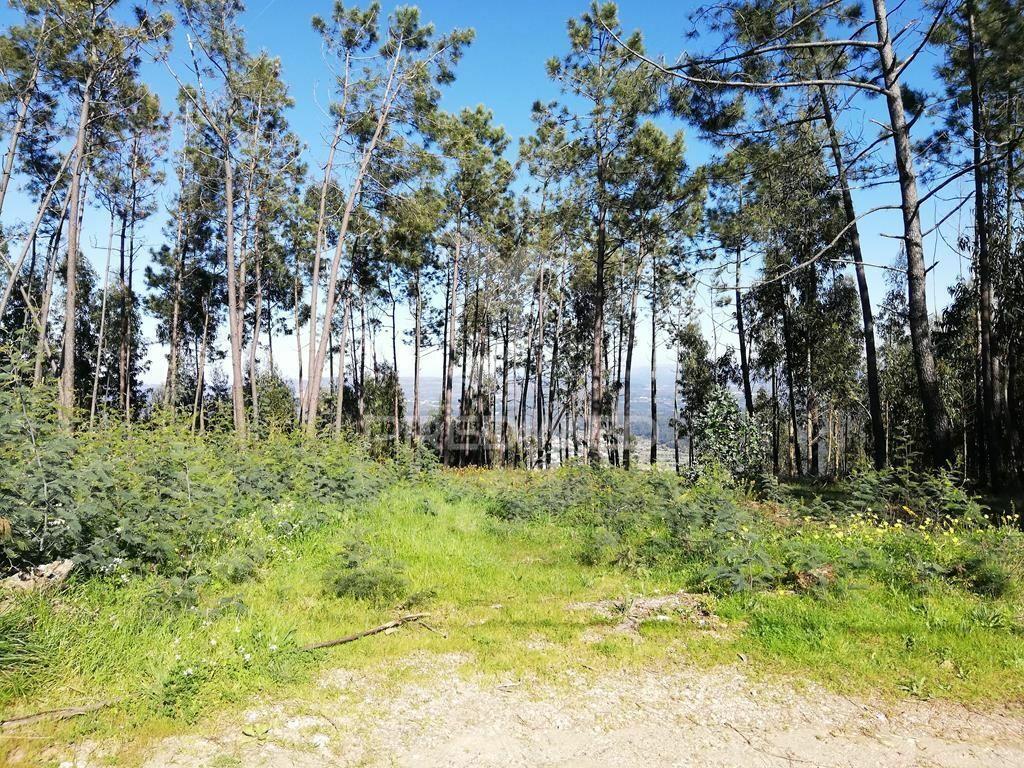 Lote de terreno  8500m2 para construção- senhor da serra- semide