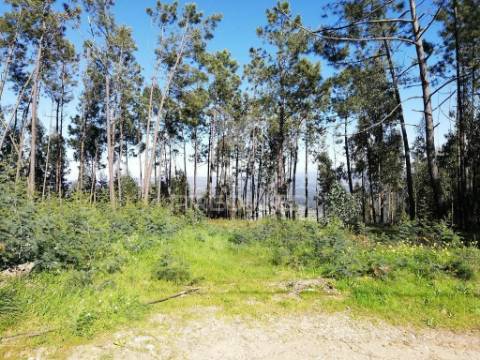 Lote de terreno  8500m2 para construção- senhor da serra- semide