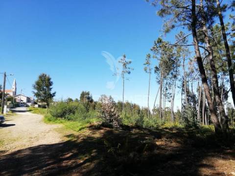 Lote de terreno  8500m2 para construção- senhor da serra- semide