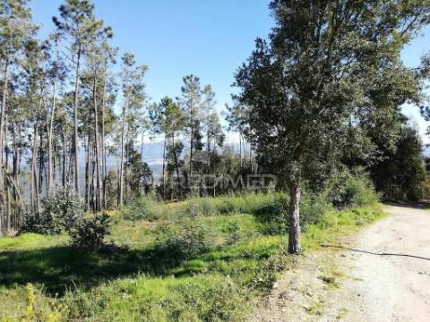 Lote de terreno  8500m2 para construção- senhor da serra- semide