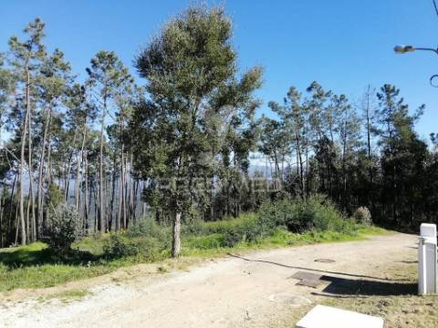 Lote de terreno  8500m2 para construção- senhor da serra- semide