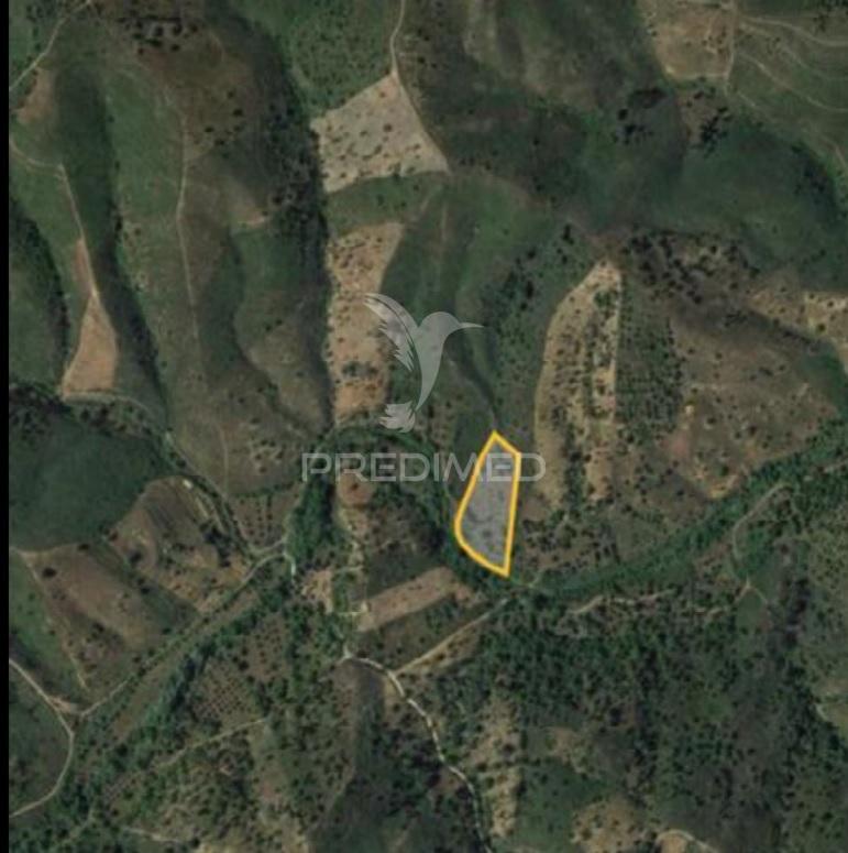 Terreno rustico no sitio da tareja