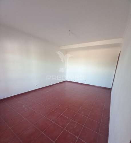 Quinta 2,5 hectares com moradia