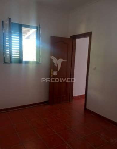 Quinta 2,5 hectares com moradia