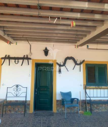 Quinta 2,5 hectares com moradia