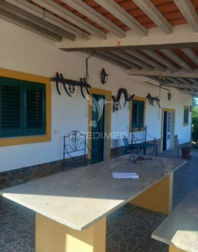 Quinta 2,5 hectares com moradia