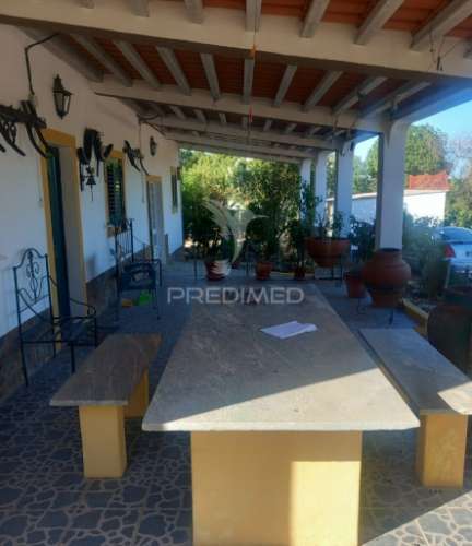 Quinta 2,5 hectares com moradia