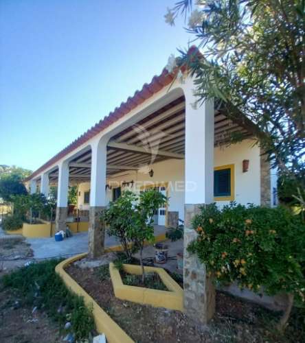 Quinta 2,5 hectares com moradia