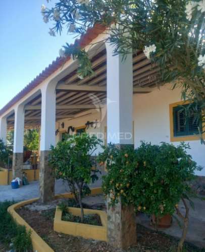 Quinta 2,5 hectares com moradia