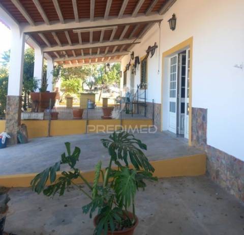 Quinta 2,5 hectares com moradia