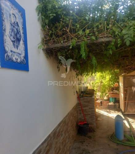 Quinta 2,5 hectares com moradia