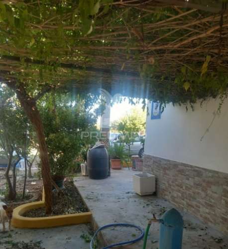 Quinta 2,5 hectares com moradia