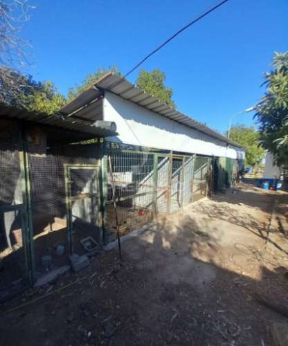 Quinta 2,5 hectares com moradia
