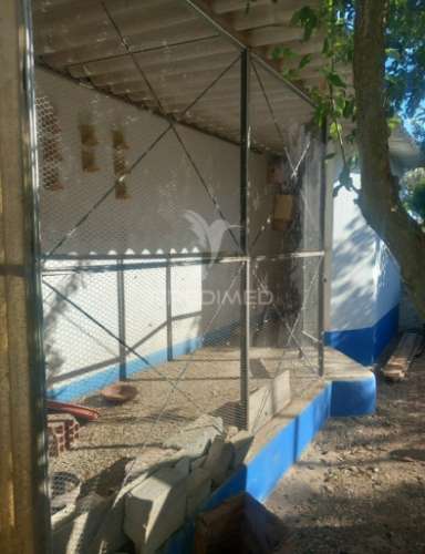 Quinta 2,5 hectares com moradia