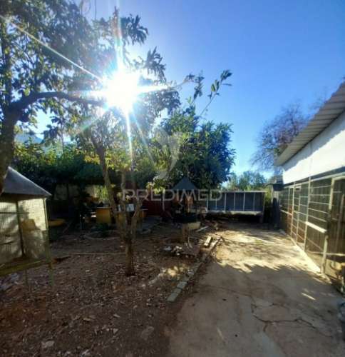 Quinta 2,5 hectares com moradia