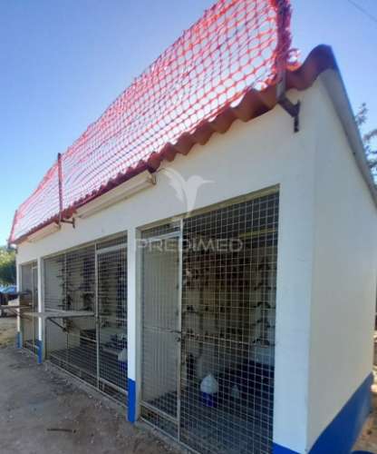 Quinta 2,5 hectares com moradia