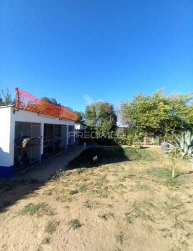 Quinta 2,5 hectares com moradia
