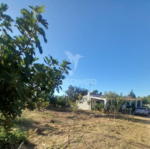 Quinta 2,5 hectares com moradia