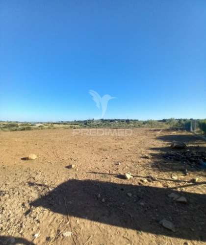 Quinta 2,5 hectares com moradia