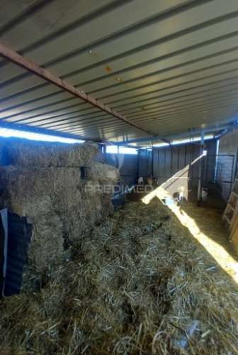 Quinta 2,5 hectares com moradia