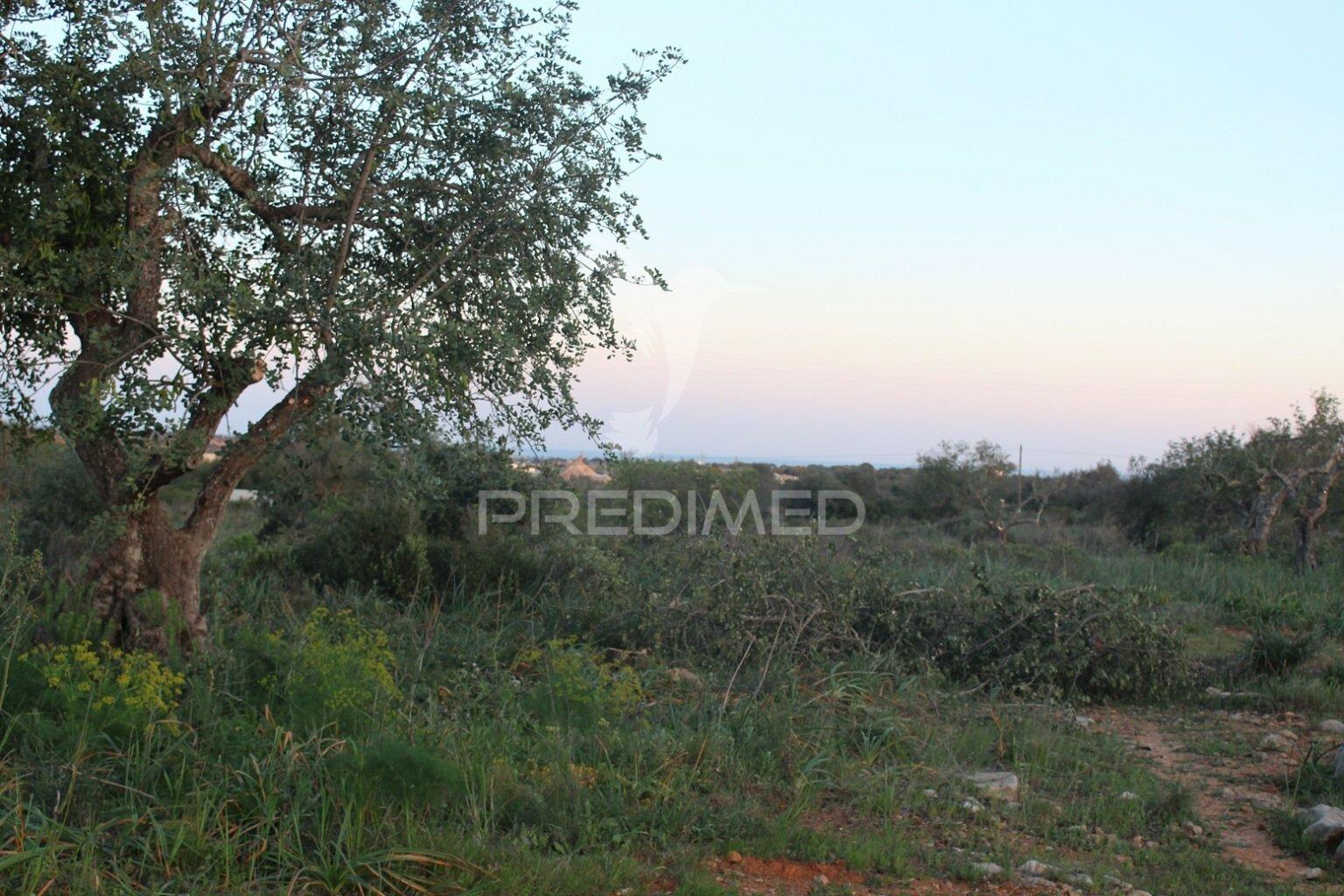 Vende-se terreno rústico em paderne (albufeira)