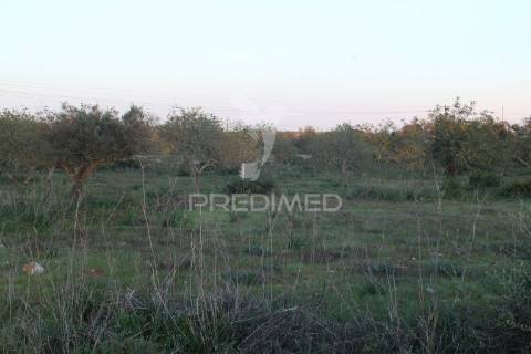 Vende-se terreno rústico em paderne (albufeira)