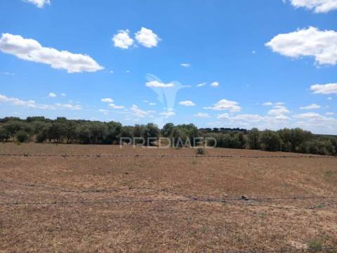 Terreno com 5,675 (ha)