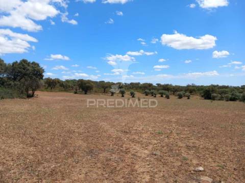 Terreno com 5,675 (ha)