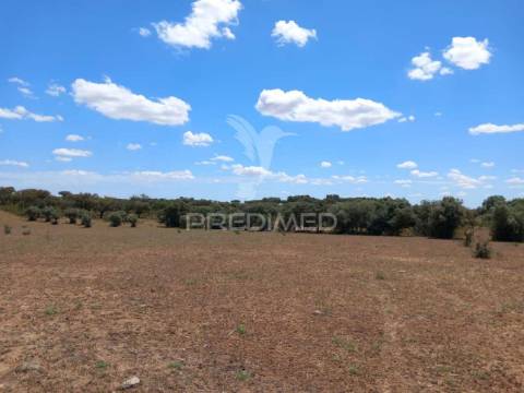 Terreno com 5,675 (ha)