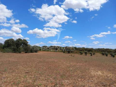 Terreno com 5,675 (ha)