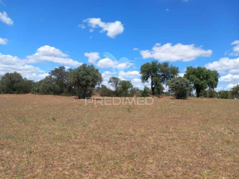 Terreno com 5,675 (ha)