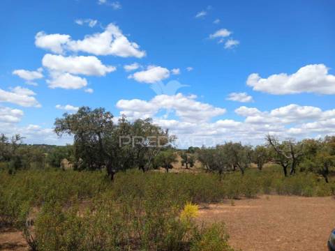 Terreno com 5,675 (ha)