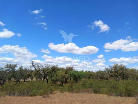 Terreno com 5,675 (ha)