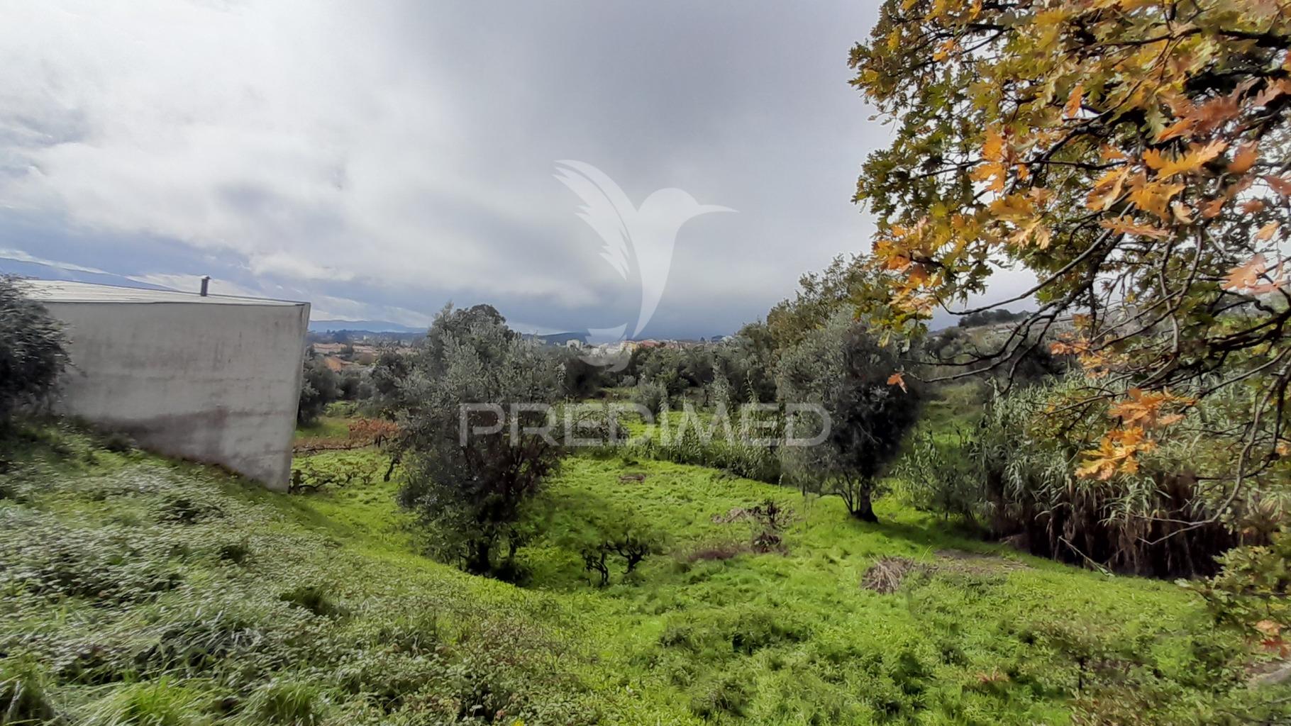 Terreno urbano em tortosendo
